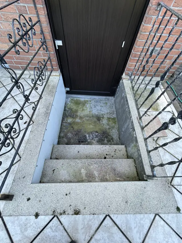 Kellertreppe mit verschmutztem Sockelbereich: Algen- und Schimmelbeläge, abgeplatzter Putz und feuchte Stellen am Bodenablauf.