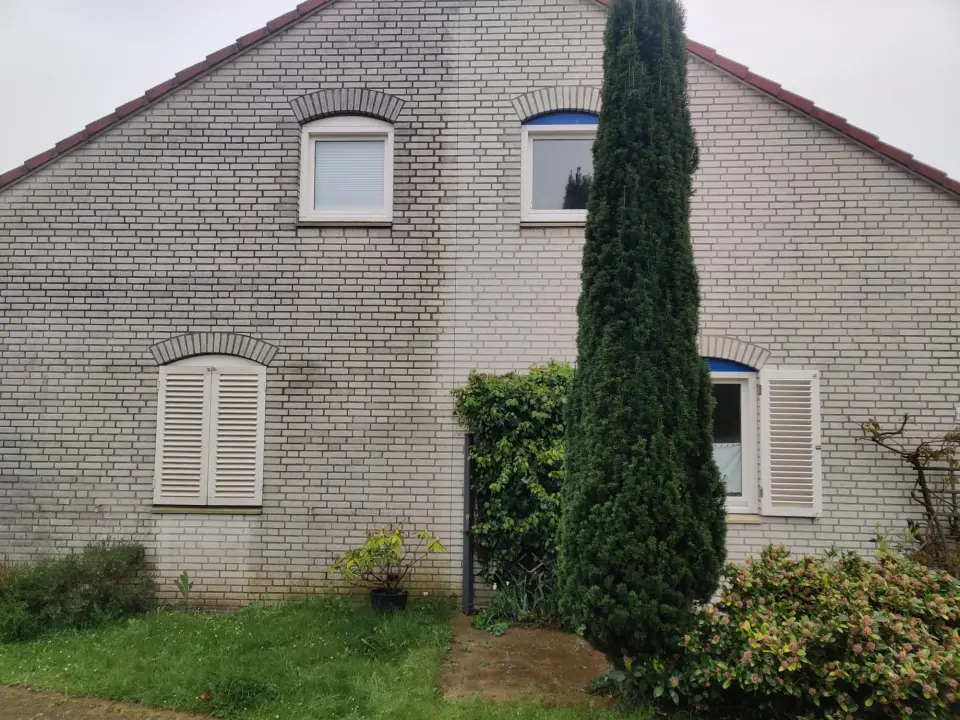 Ziegelfassade eines Wohnhauses mit sichtbaren Grauschleiern und Algen am Sockelbereich, Fensterläden und Rankpflanzen. Idealer Fall für Fassadenreinigung.